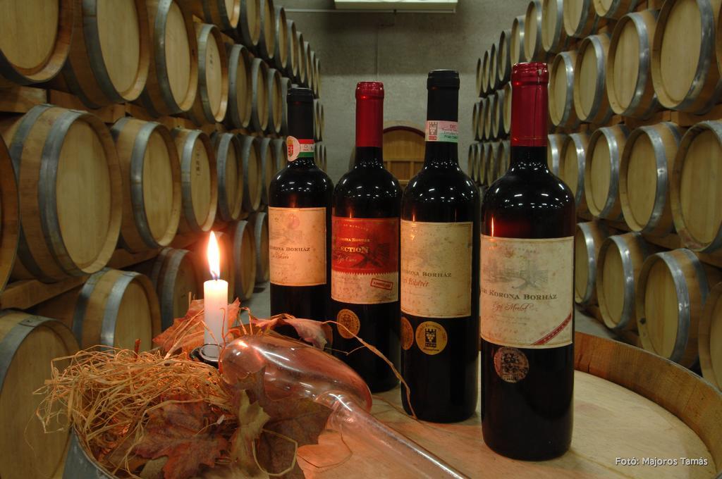 Grape&Wine Guesthouse เอ็กเกอร์ ภายนอก รูปภาพ